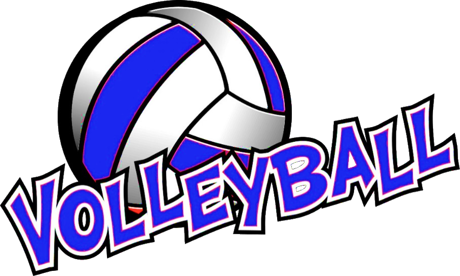 volleyball logo